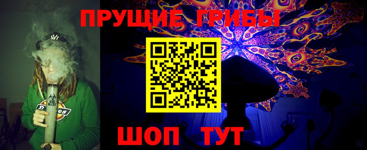 Мценск  цены   Вход с VPN  Галлюциногенные грибы мухоморы 