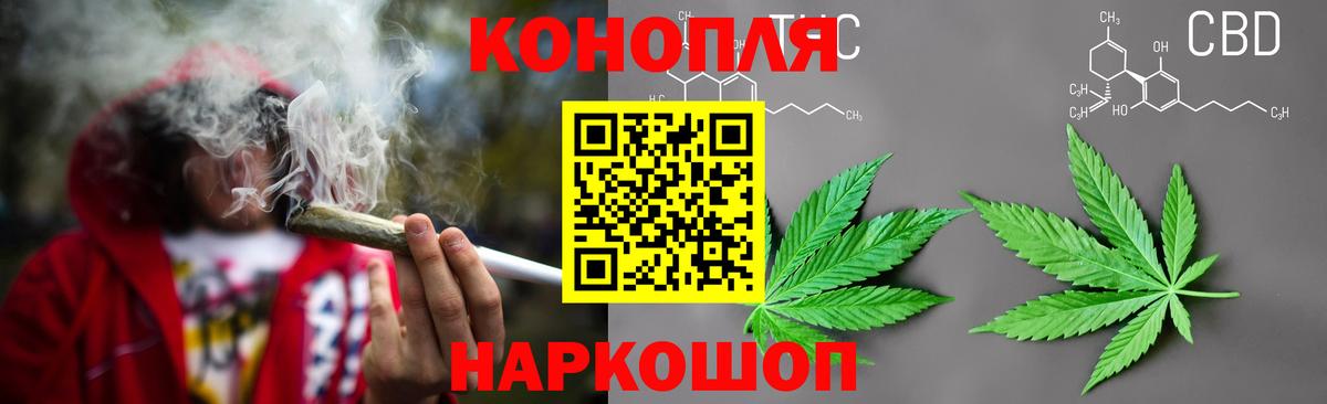Бошки Шишки тримм  Вход с VPN  Каннабис Bruce Banner  Конопля семена  Бошки Шишки планчик  Мценск 